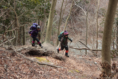冬枯れの登山道を登っている写真