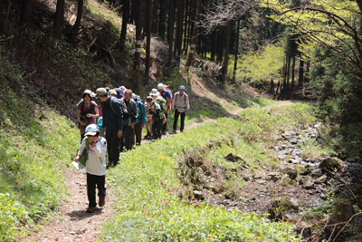 沢の横の登山道を歩いている写真