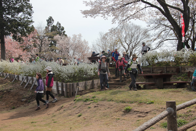 花盛りの城山山頂を後に下山にかかった写真