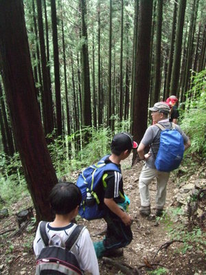 急坂を下るところを上から撮った写真