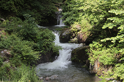 西沢渓谷のように多くの釜を持った橋立川の写真