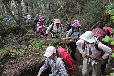 樹林帯を登っているメンバーの写真