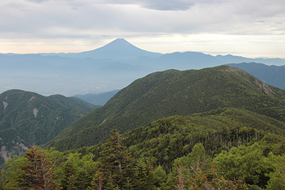 富士山の写真