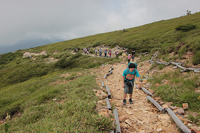草原に付けられた登山道を登っている写真