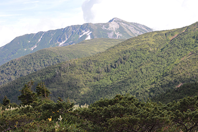 太郎平から見た黒部五郎岳の写真