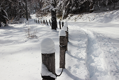 並んだ杭の上にもっこり降り積もった雪の写真