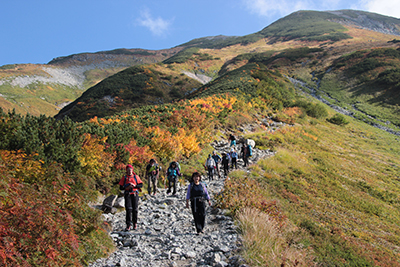 紅葉のきれいな斜面を下っている写真