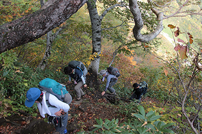 紅葉のきれいな登山道を登っている写真