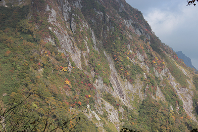 シンセン岩峰中腹の紅葉の写真