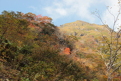 西黒尾根と紅葉の写真