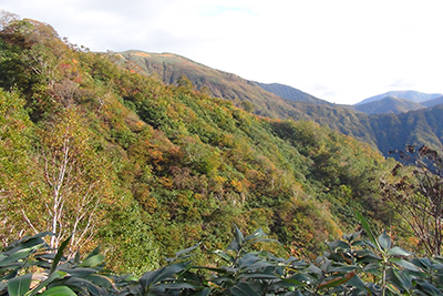 白樺避難小屋近くから見た七ツ小屋山・清水峠方面の写真