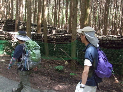 根原から歩き始めた写真