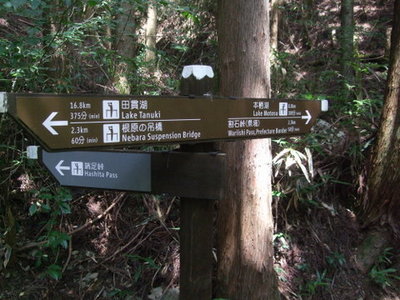 割石峠方面への分岐の写真