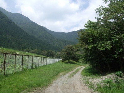 貯水池近くの道の写真