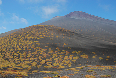 富士山と宝永山と上双子山の写真