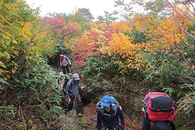 登山道の段差が大きい東栗駒コースを上っている写真