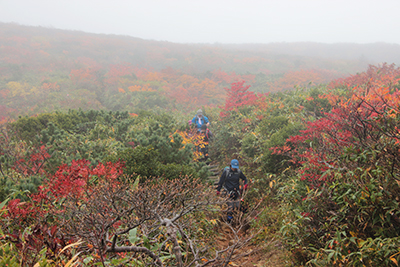 紅葉の斜面を背に下っている写真