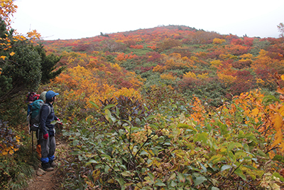 美しい紅葉に見とれている写真