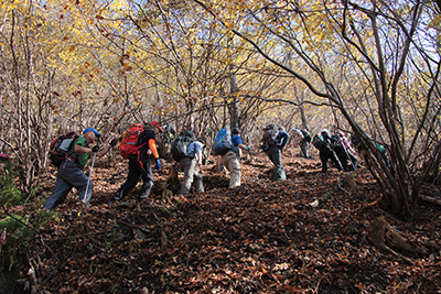 雑木林の強い傾斜の登山道を登っている写真