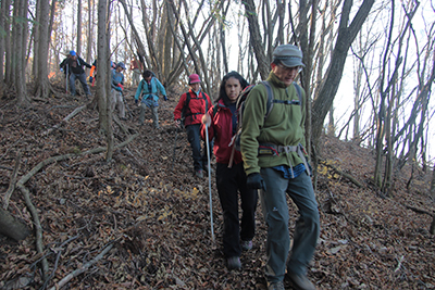 落ち葉の多い登山道を下っている写真