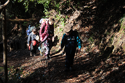 木漏れ日の差す登山道を登っている写真