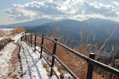 箱根の山々を背に展望の良いところを登っている写真