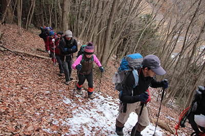 落ち葉の多い登山道を登っている写真