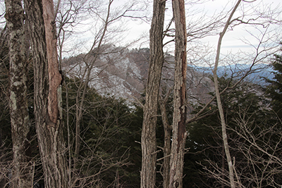 雨降山を過ぎて見えた権現山山頂の写真