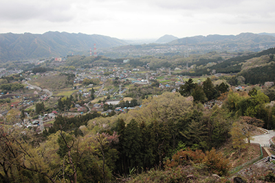 サクラ道の途中の展望の良いところから高尾山方面を見た写真