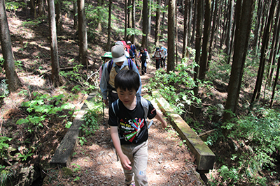 登山道を歩いている写真
