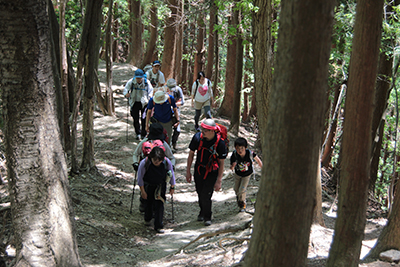 尾根に出て傾斜の落ちた登山道を歩いている写真