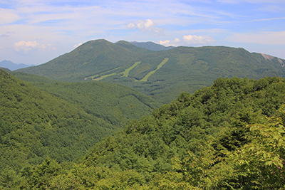 篭ノ登山方面の写真