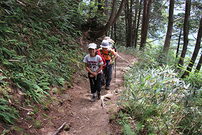 樹林帯の登山道を歩いている写真