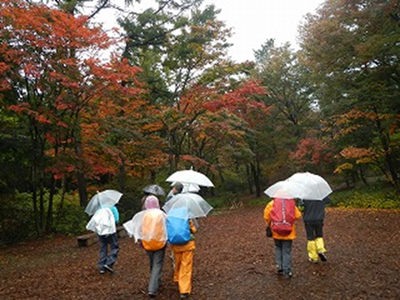 紅葉した木々の下を歩いている写真