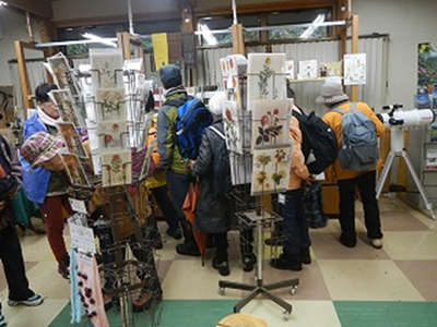 総合案内所でお土産を探している写真