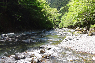 日原川の写真