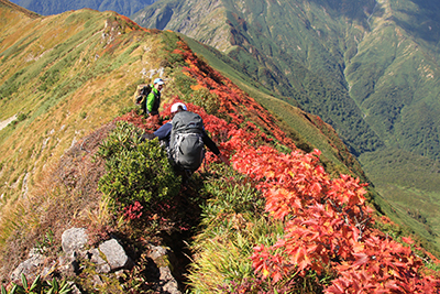 万太郎山からの下りで痩せ尾根を通過している写真