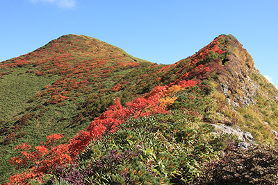 紅葉と痩せ尾根と万太郎山を振り返った写真