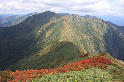 エビス大黒の頭への登から振り返った万太郎山と紅葉した木々の写真
