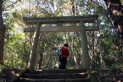 鳥居をくぐって登っていくM君の写真
