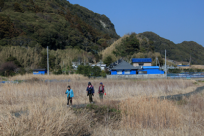 冬枯れの中を歩いている写真