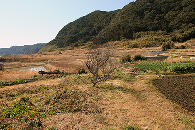 のどかな麓の風景の写真