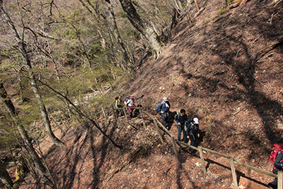 わさび田を過ぎ、手すりの付いた登山道を歩いている写真