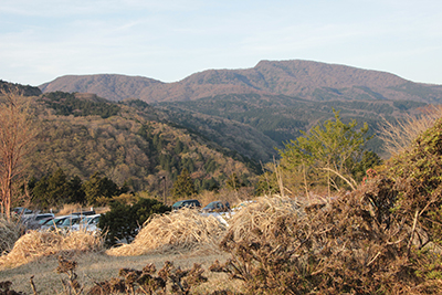 東急ハーベストクラブから見た朝の天城山の写真