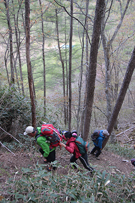 小屋からいきなり急登となる登山道を登っている写真