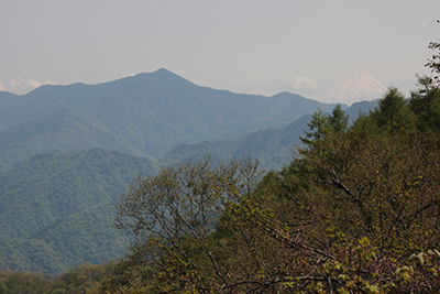 大菩薩嶺と富士山の写真
