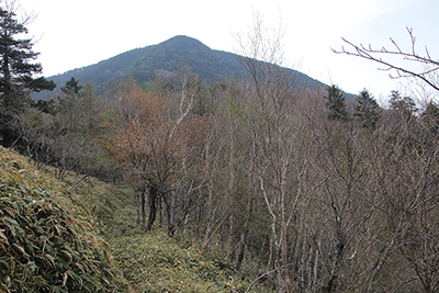 大ダル付近から見た飛龍山の写真