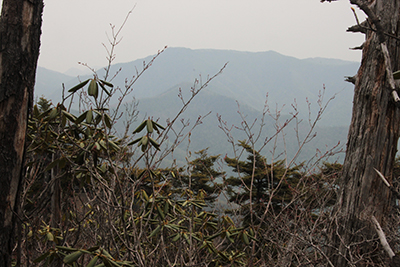 飛龍山の山頂付近から見た雲取山の写真