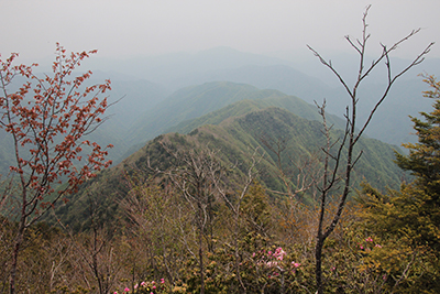 これから下山するデンデイロ尾根の写真
