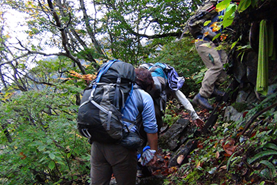 登山道のはしごを登っている写真